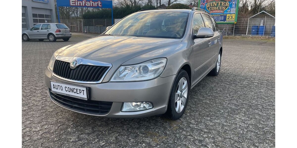 Skoda Octavia 195.000 km 3.999 &euro; Wiefelstede-Borbeck 26215