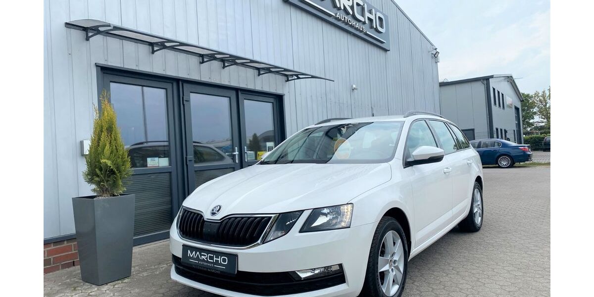 Skoda Octavia 66.762 km 13.999 &euro; Wardenburg 26203